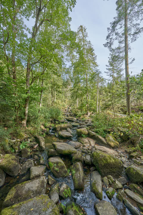 Gemeinde Waldkirchen Landkreis Freyung-Grafenau Saußbachklamm (Dirschl Johann) Deutschland FRG